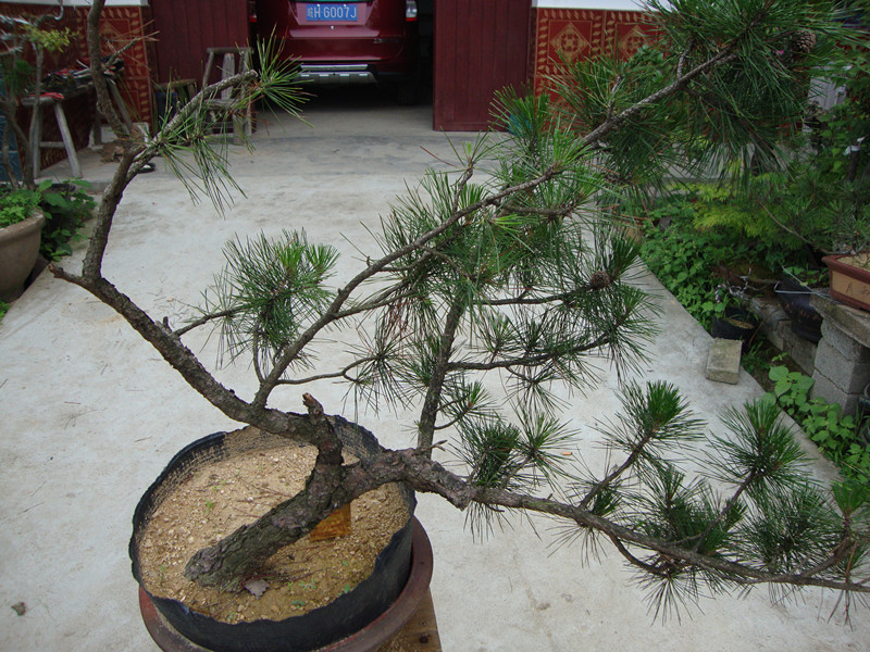 DSC01204_.jpg