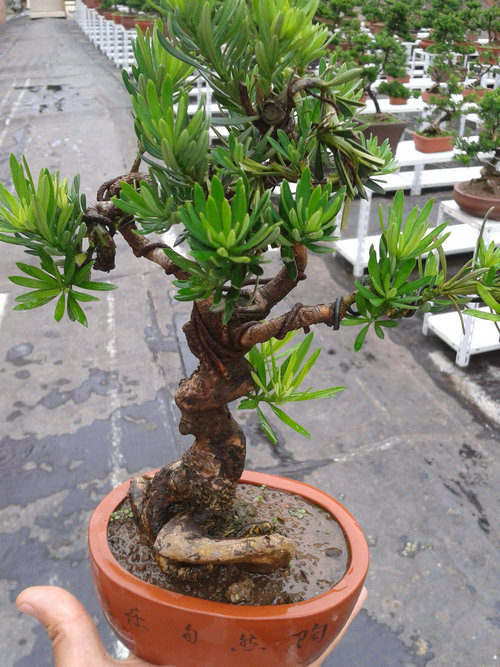 2013-06-27 15.11.29.jpg