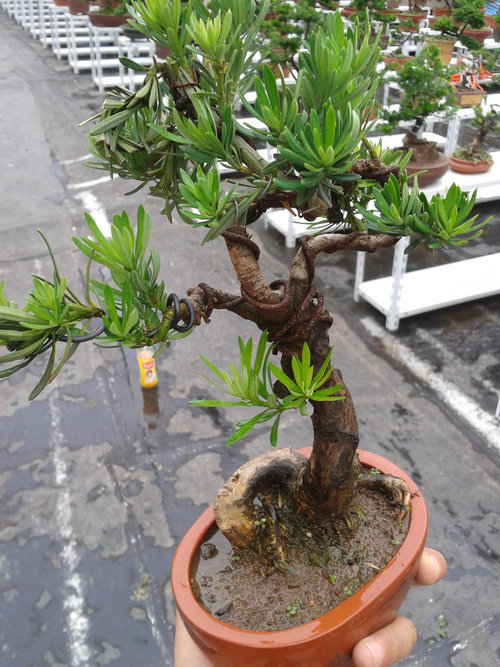 2013-06-27 15.12.22.jpg