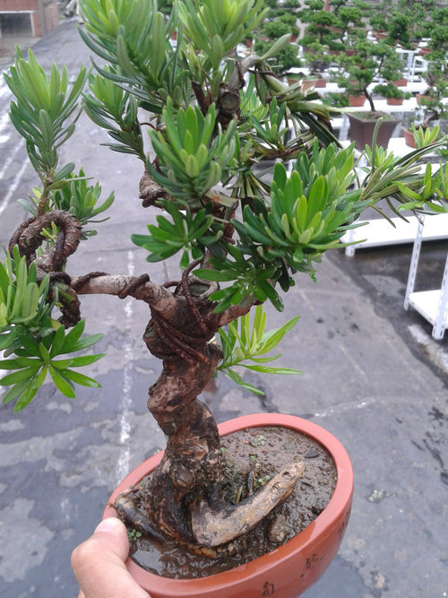 2013-06-27 15.12.39.jpg