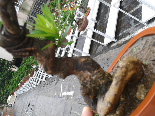 2013-06-27 15.12.52.jpg