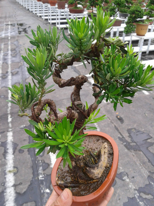 2013-06-27 15.13.34.jpg