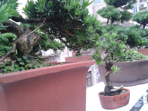 2013-06-27 15.21.43.jpg