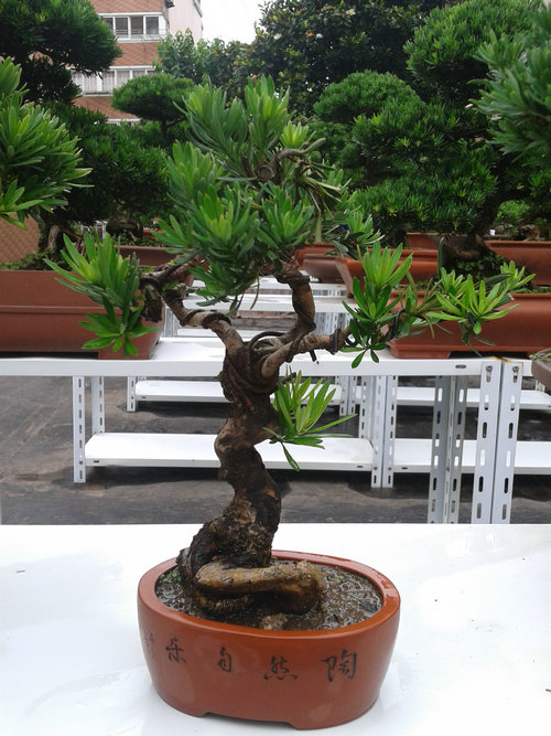 2013-06-27 15.22.07.jpg