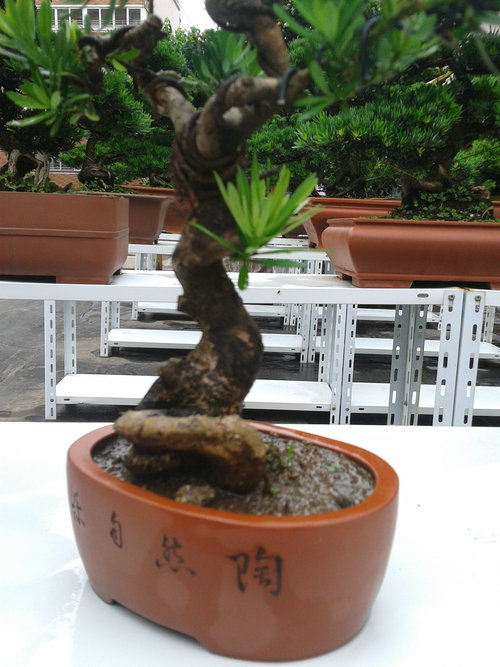 2013-06-27 15.23.00.jpg