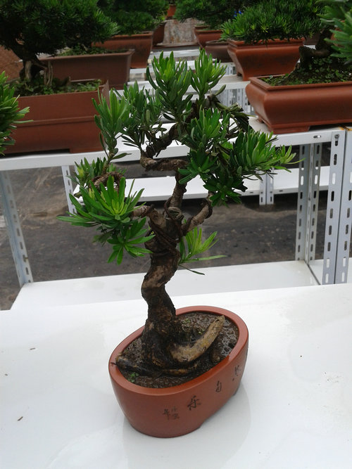 2013-06-27 15.23.35.jpg