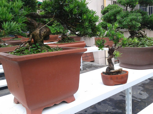 2013-06-27 15.20.56.jpg