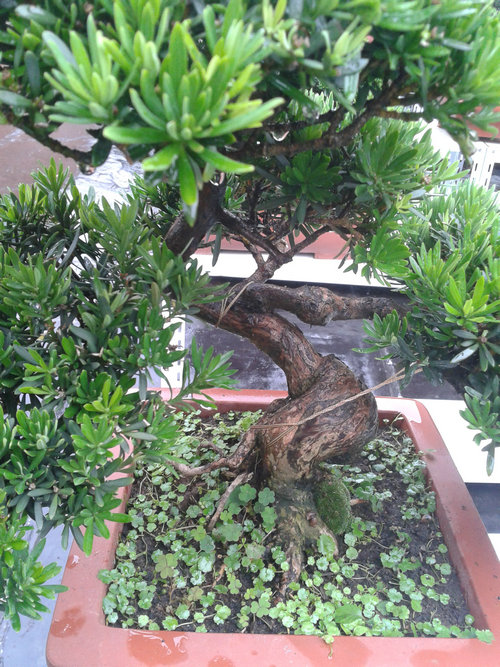 2013-06-27 14.08.31.jpg