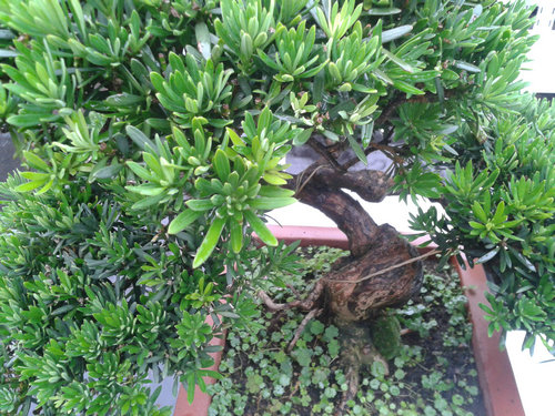 2013-06-27 14.10.14.jpg