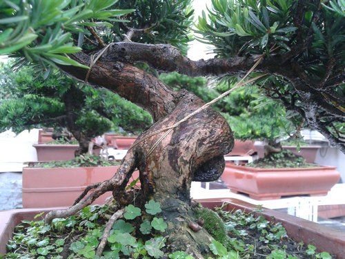 2013-06-27 14.12.43.jpg