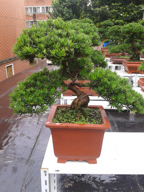 2013-06-27 14.09.35.jpg