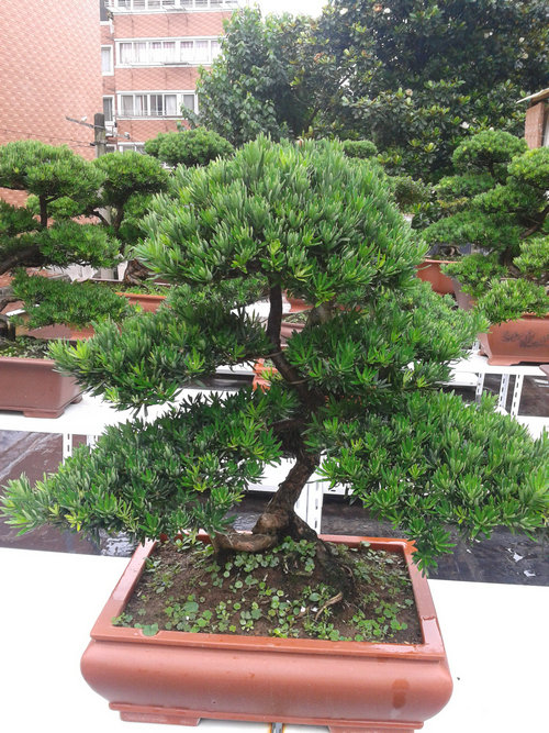 2013-06-27 14.14.38.jpg