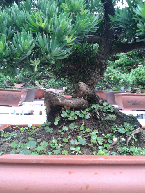 2013-06-27 14.14.13.jpg