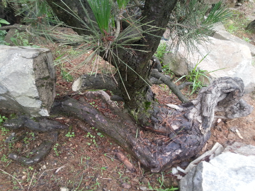 20130607_140843.jpg