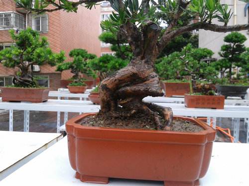 2013-06-25 12.49.02.jpg