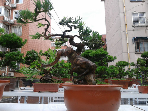 2013-06-25 12.49.57.jpg