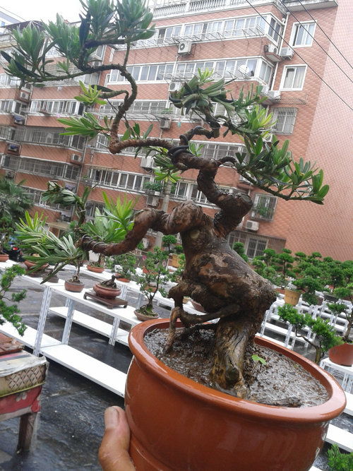 2013-06-27 15.09.13.jpg