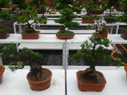 2013-06-25 12.47.30.jpg