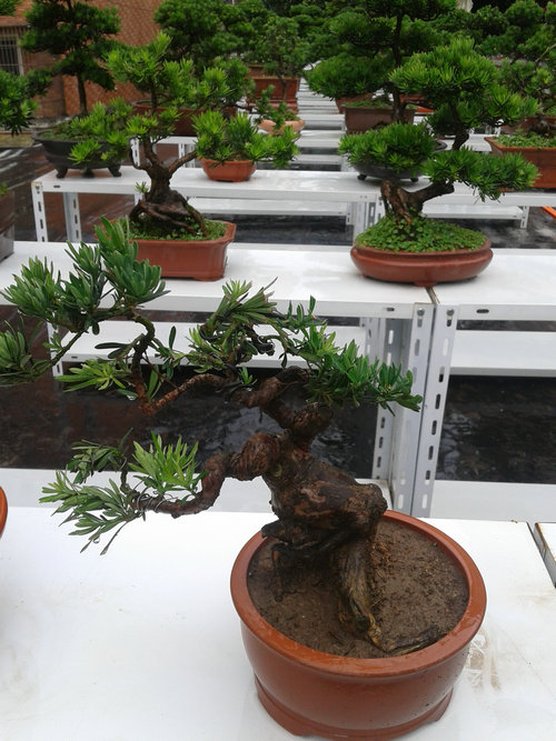 2013-06-25 12.47.48.jpg