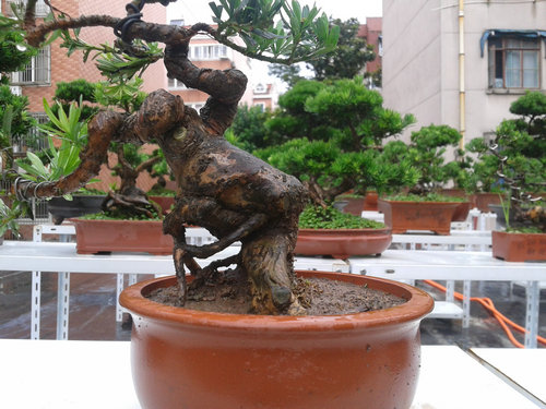 2013-06-25 12.48.15.jpg