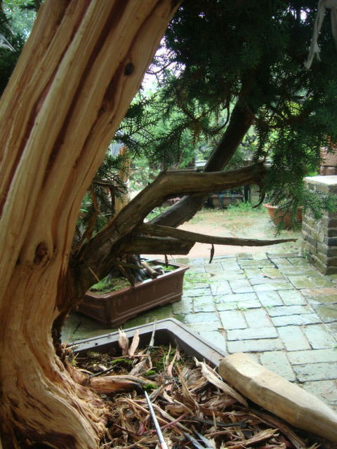 DSC07459_ͼ.jpg