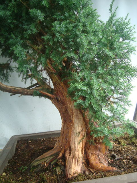 DSC07462_ͼ.jpg