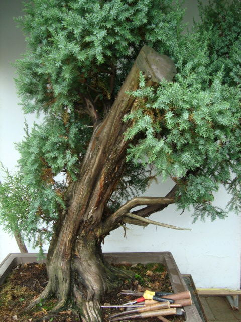 DSC07457_ͼ.jpg