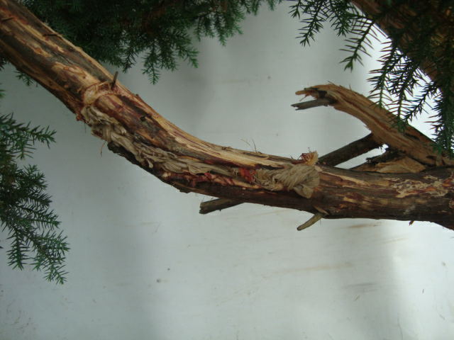 DSC07463_ͼ(1).jpg