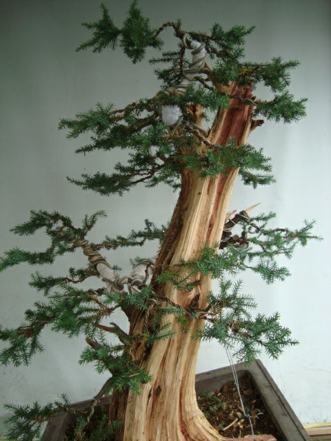 DSC07468_ͼ.jpg