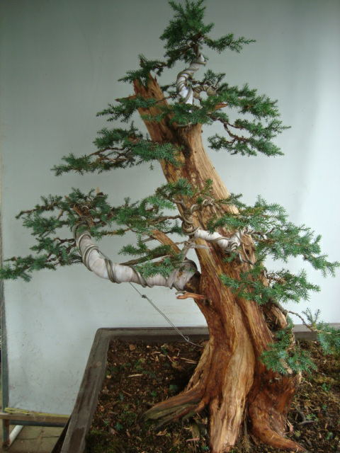 DSC07470_ͼ.jpg