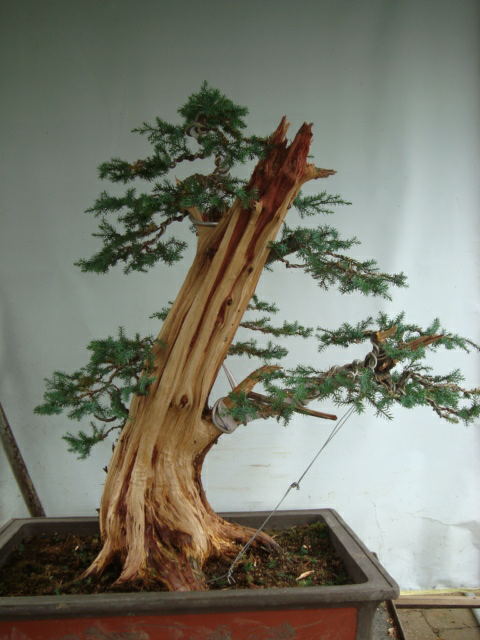 DSC07474_ͼ.jpg