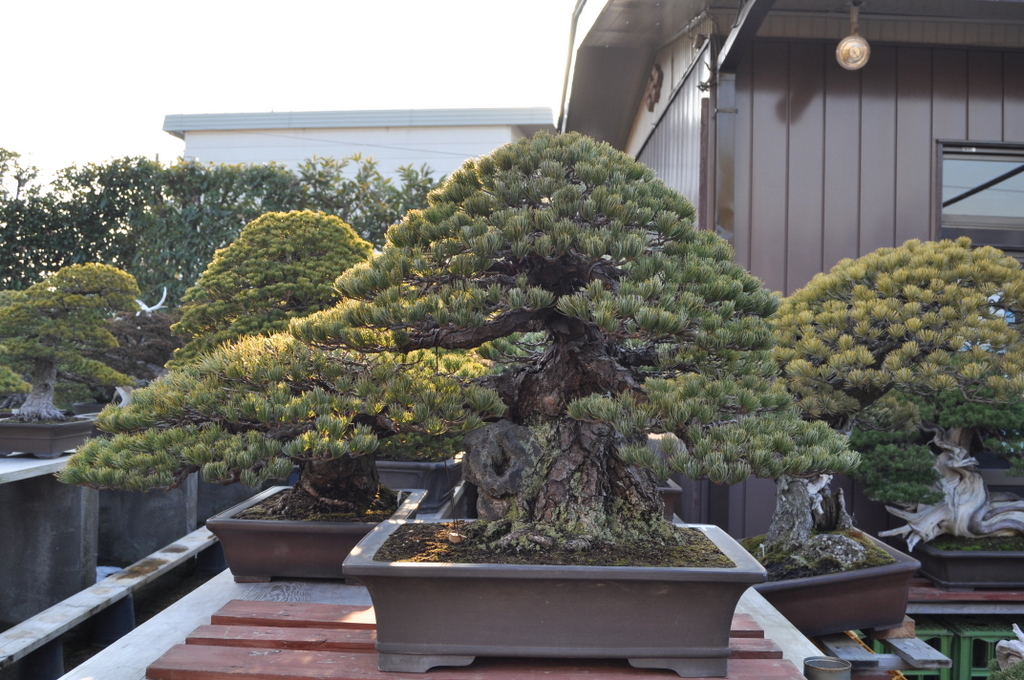 2-20-2011-075.jpg