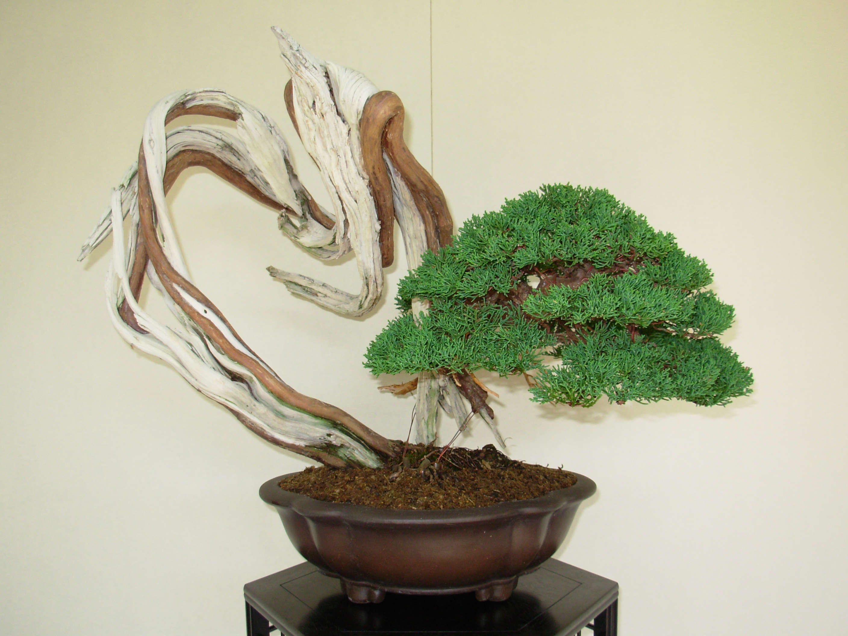 dscn8280.jpg