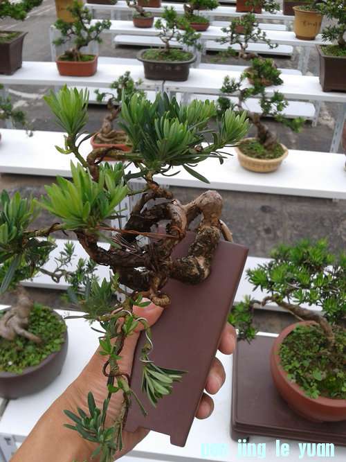 2013-06-13 14.42.07.jpg