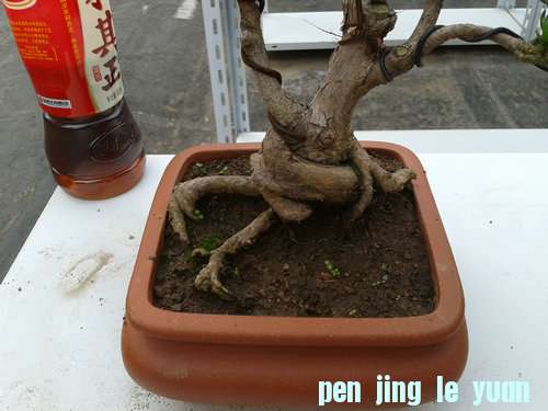 2013-06-13 16.47.35.jpg