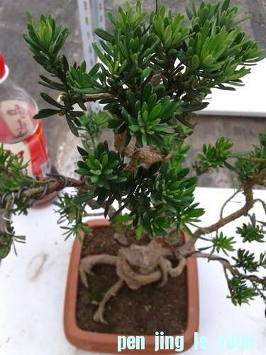 2013-06-13 16.48.34.jpg