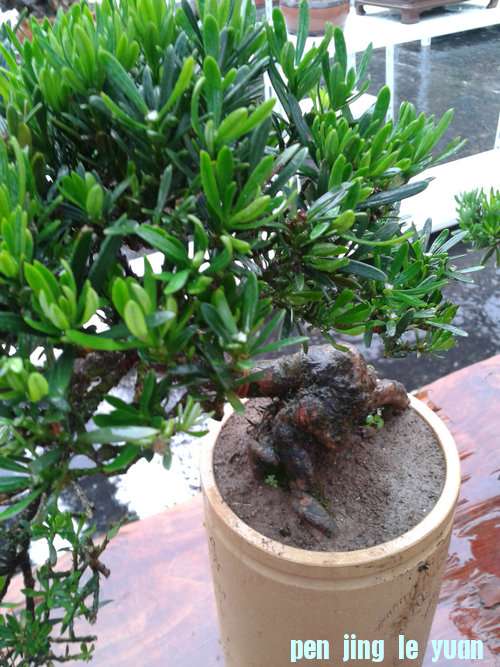 2013-06-23 17.00.21.jpg