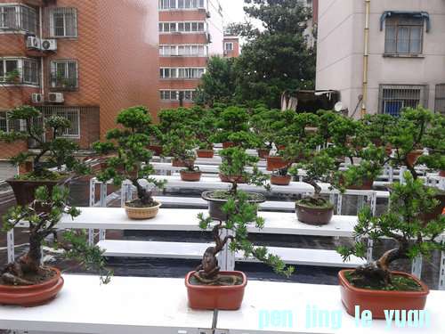 2013-06-07 14.13.39.jpg