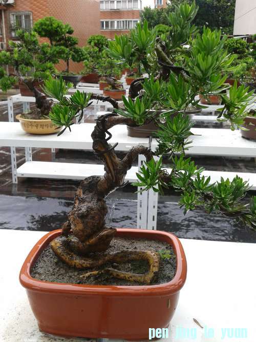 2013-06-07 14.14.40.jpg