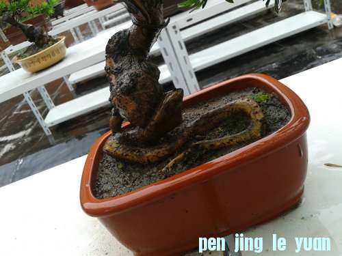 2013-06-07 14.15.17.jpg