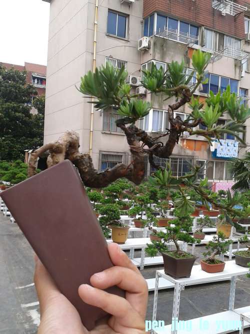 2013-06-13 14.30.52.jpg