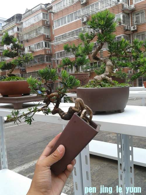 2013-06-13 14.35.16.jpg