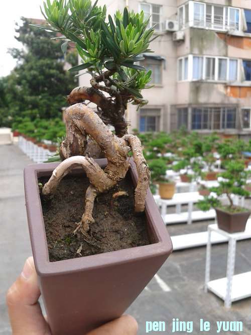 2013-06-13 14.30.12.jpg