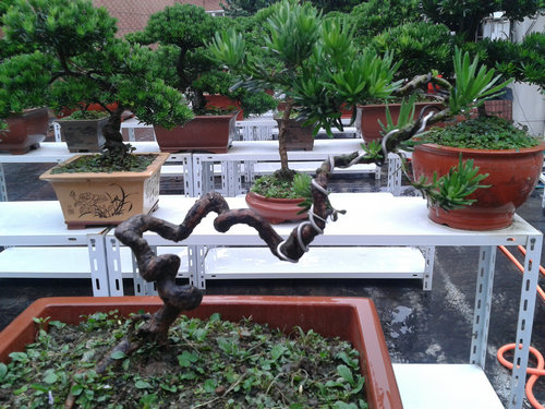 2013-06-23 14.55.46.jpg