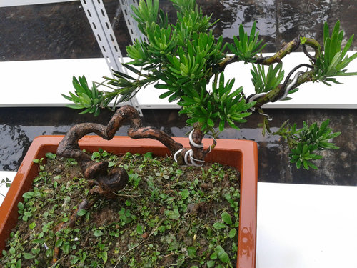 2013-06-23 14.57.19.jpg