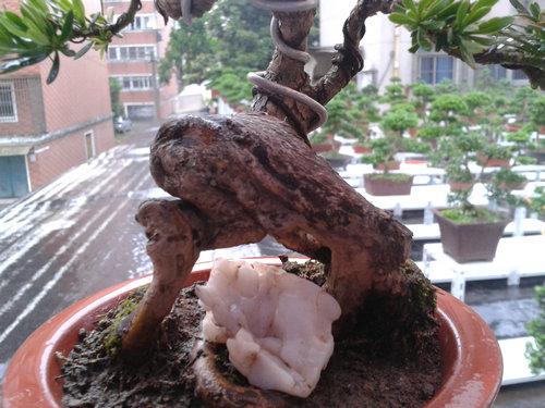 2013-05-26 13.14.00.jpg