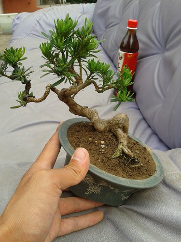 2013-05-29 13.56.02.jpg