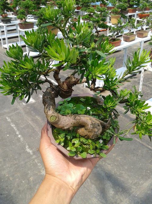 2013-06-17 13.41.15.jpg