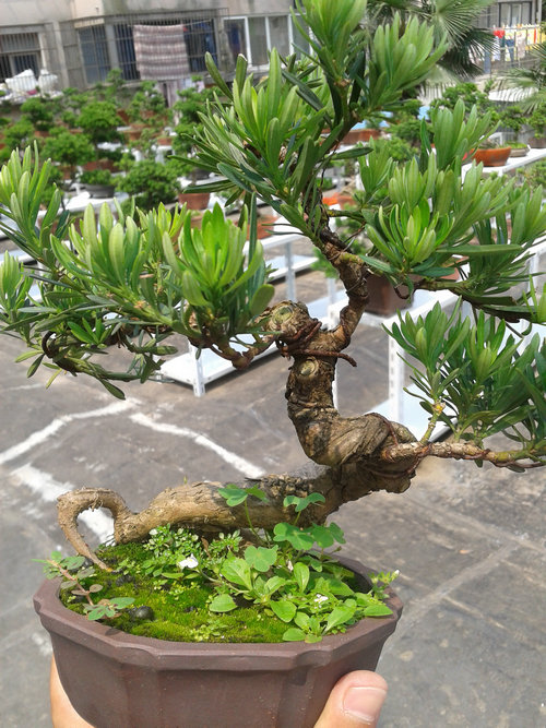 2013-06-17 13.42.45.jpg