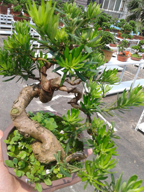 2013-06-17 13.43.18.jpg